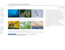 Tablet Screenshot of natur-im-licht.de
